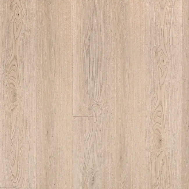 MSI Cyrus Collection Austell Grove