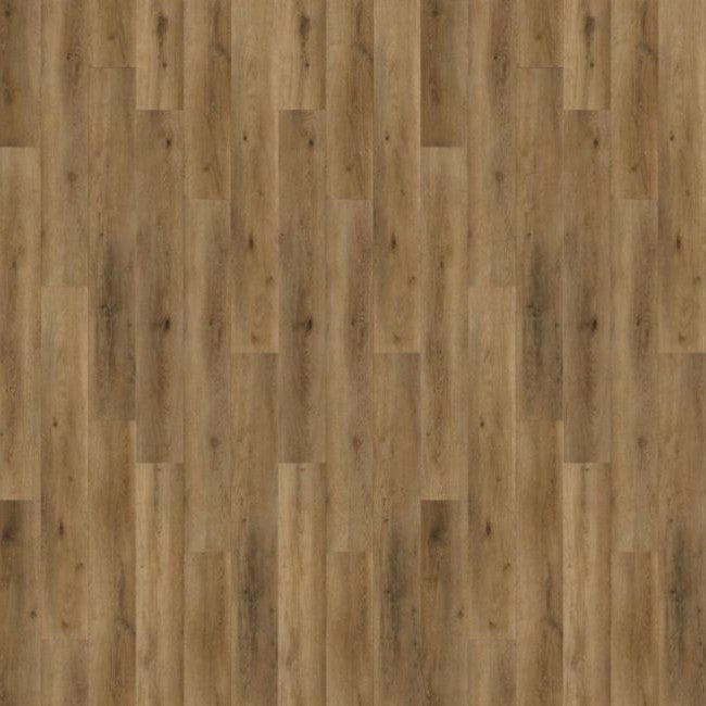 Americano Grande Bald Eagle