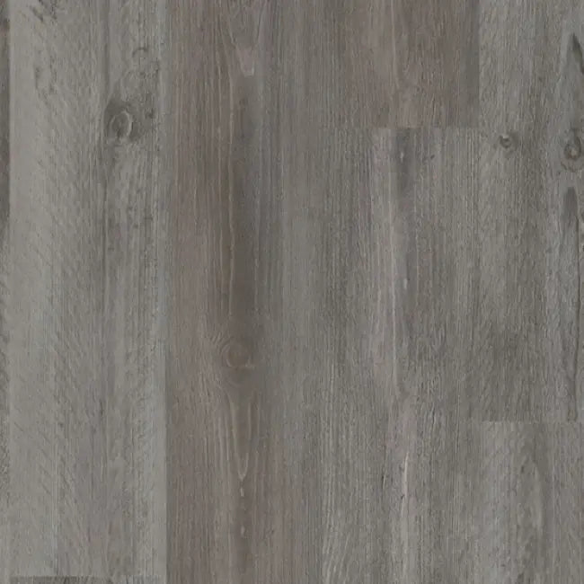 MSI Cyrus Collection Katella Ash