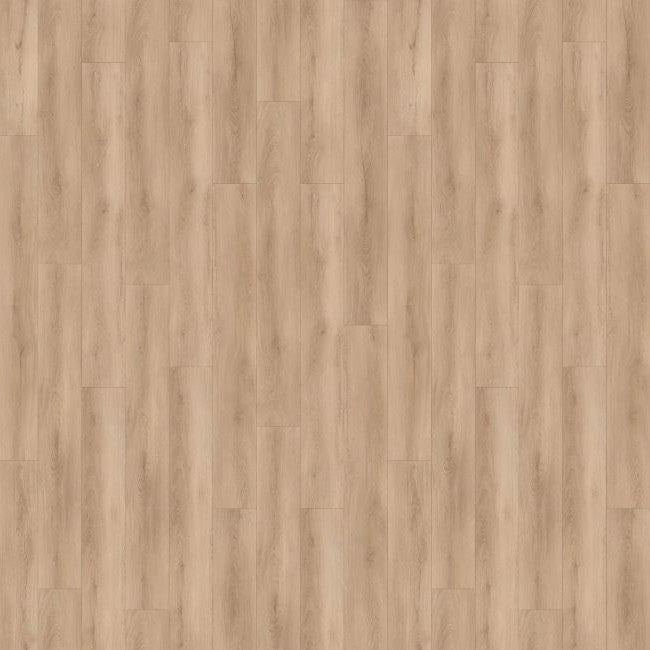 Americano Grande Stonington