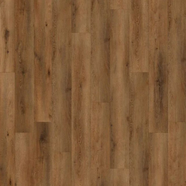 Americano Grande Sunnyside