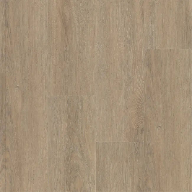 Happy Feet International Liberty Bound Boston