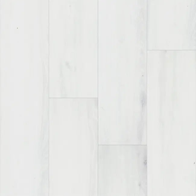 Happy Feet International Liberty Bound Concord