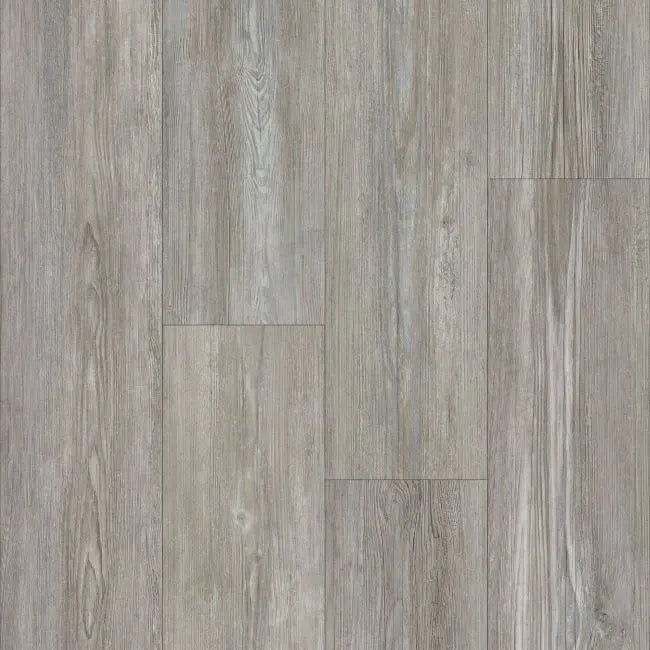 Happy Feet International Dynamite Plus Winterhaven