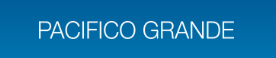 Pacifico Grande