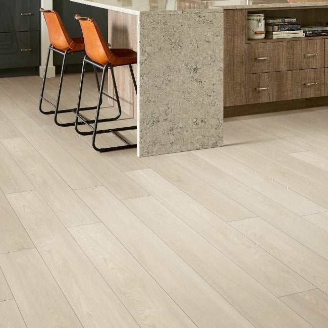 Shaw Floors Endura Plus Silver Dollar