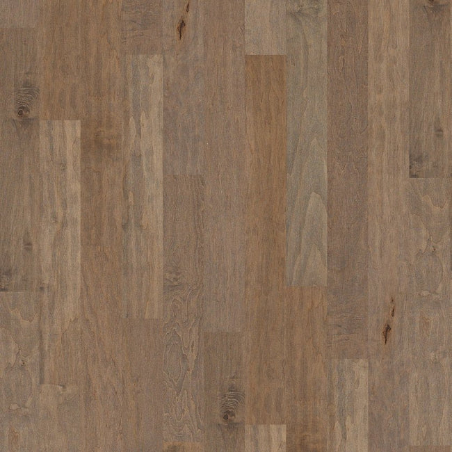 Shaw Floors EPIC Plus East Lake Oceanside