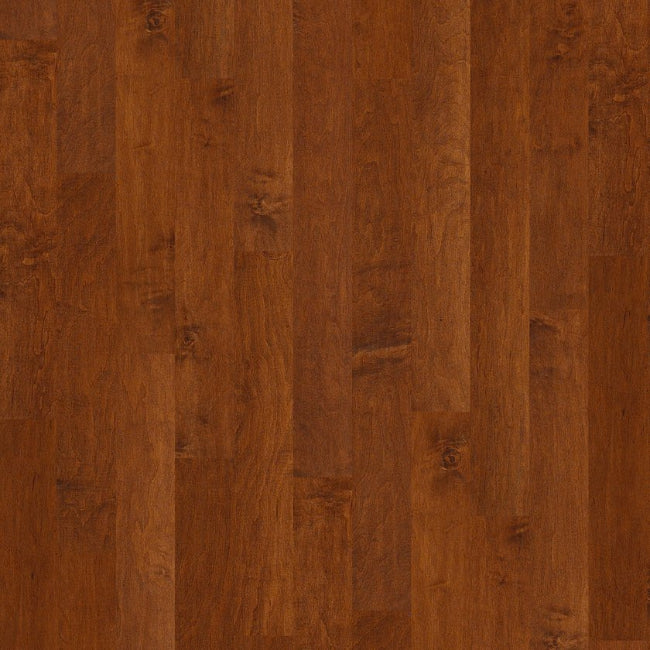 Shaw Floors EPIC Plus East Lake Burnside