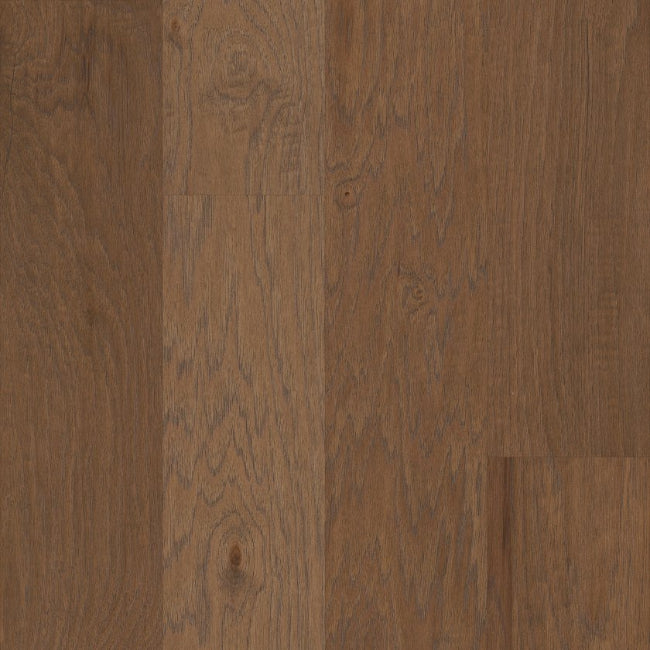 Shaw Floors EPIC Plus Continental Vintage