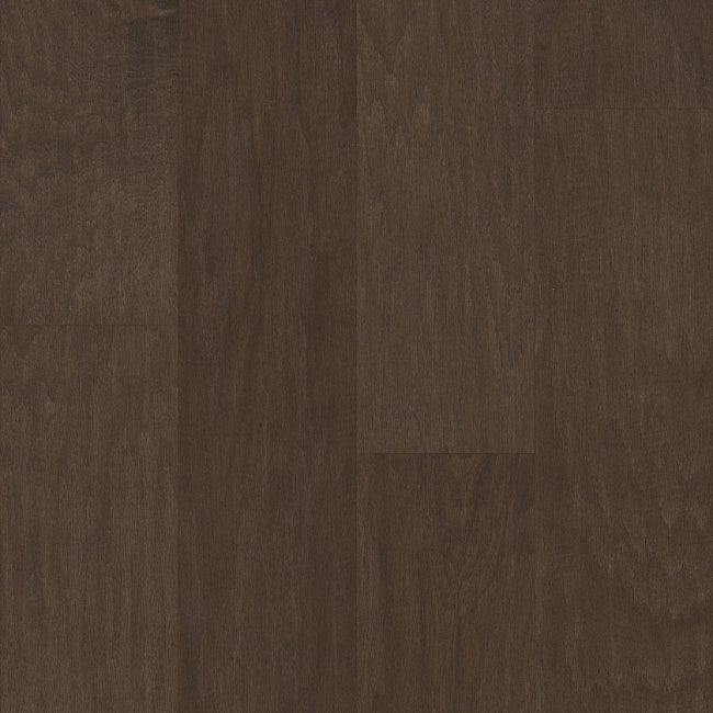 Shaw Floors EPIC Plus Continental Espresso