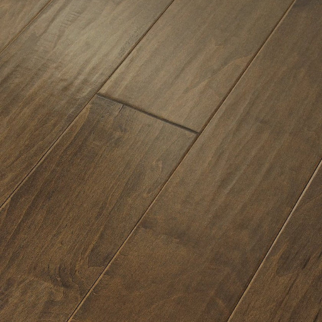Shaw Floors EPIC Plus Mendocino Bison