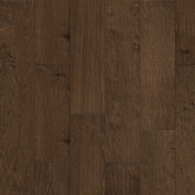 Shaw Floors EPIC Plus Mendocino Bison