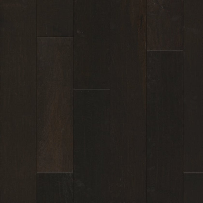 Shaw Floors EPIC Plus Mendocino Midnight