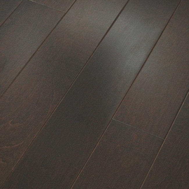 Shaw Floors EPIC Plus Clearwater Bayfront