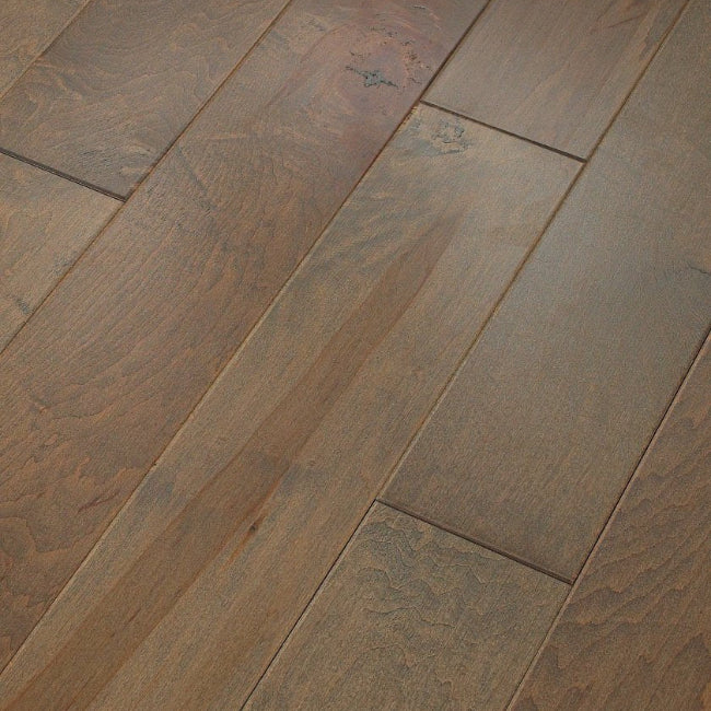 Shaw Floors Epic Plus Ocala Oceanside