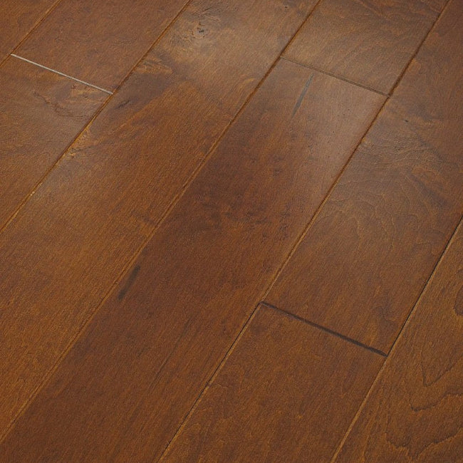 Shaw Floors Epic Plus Ocala Burnside