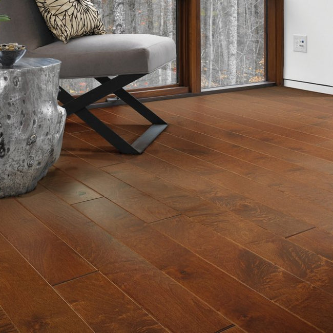 Shaw Floors Epic Plus Ocala Burnside