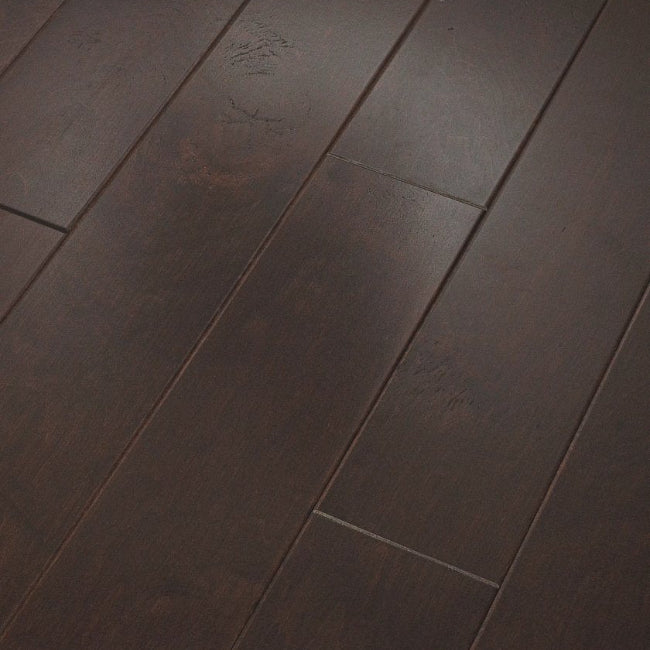 Shaw Floors Epic Plus Ocala Conway