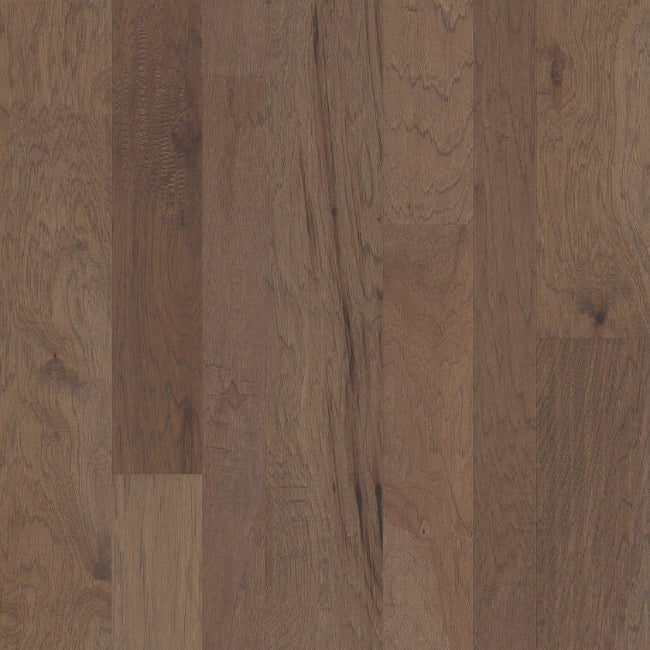 Shaw Floors Repel Collection Pebble Hill Mixed Width Cassia Bark