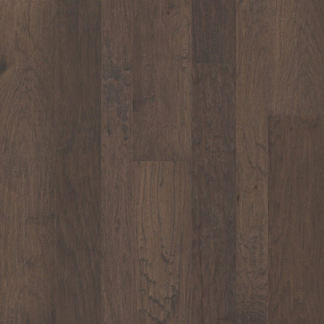 Shaw Floors Repel Collection Pebble Hill Mixed Width Pumice