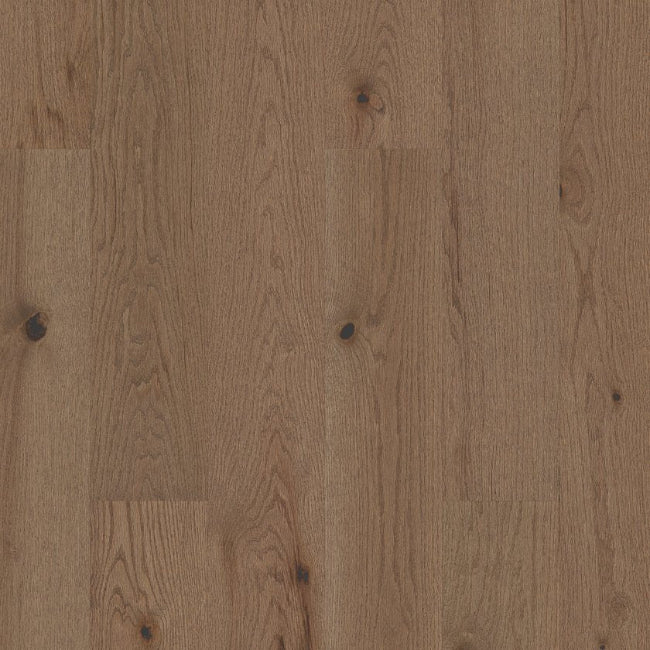 Shaw Floors Repel Collection Exploration West Canyon