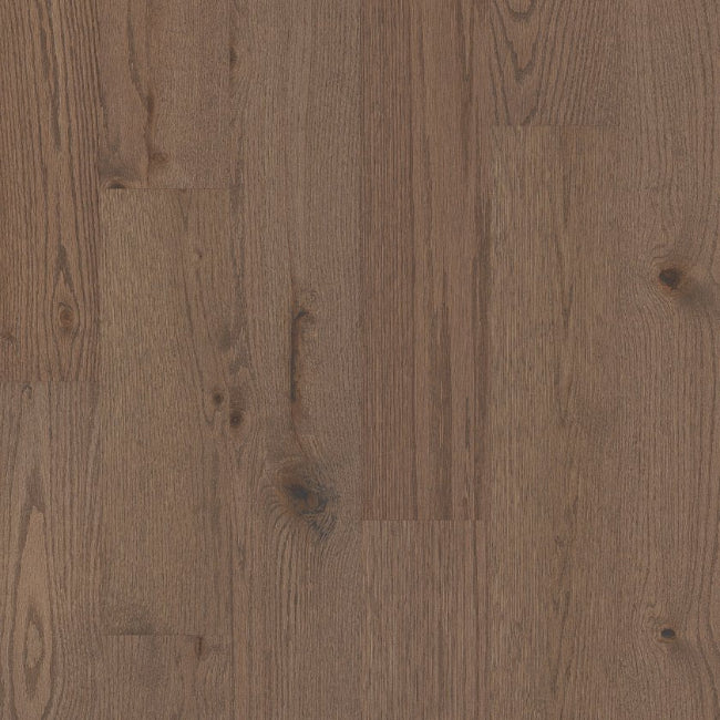 Shaw Floors Repel Collection Exploration West Summit