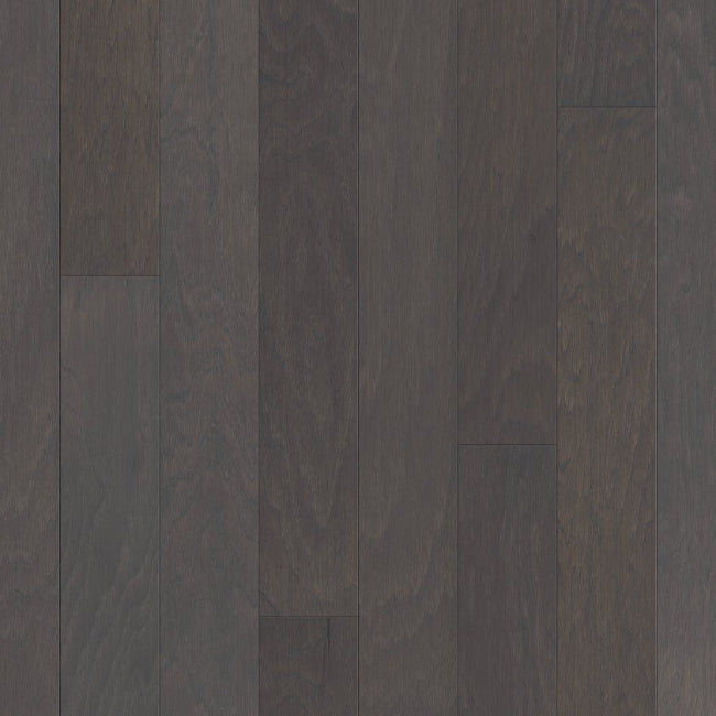 Shaw Floors EPIC Plus Raven Rock Smooth Sable