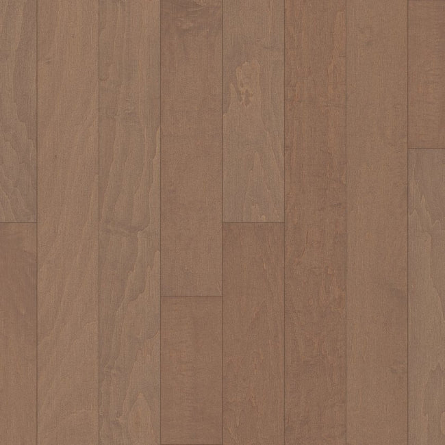 Shaw Floors Epic Plus Ocala Crescent Beach
