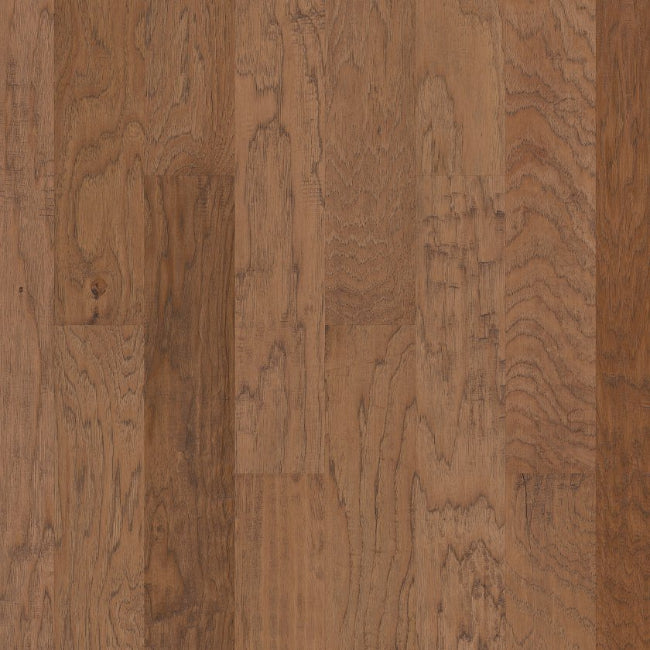 Shaw Floors Epic Plus Grant Grove 5 Bravo