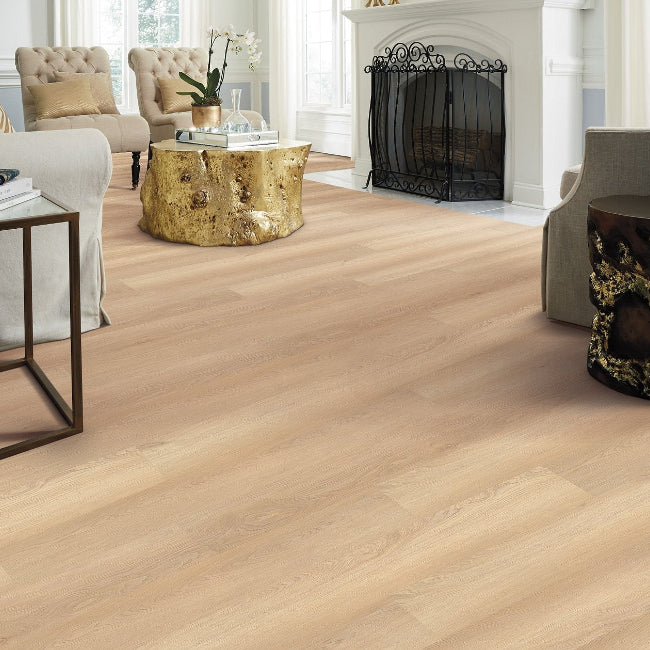 Shaw Floors Endura Plus White Sand
