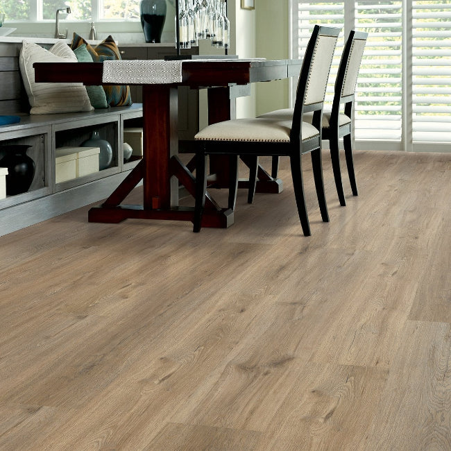 Shaw Floors Endura Plus Wild Dunes