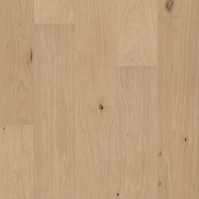 Shaw Floors The Gallery Collection Eternal