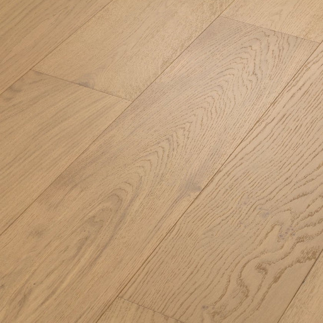 Shaw Floors The Gallery Collection Endeavor