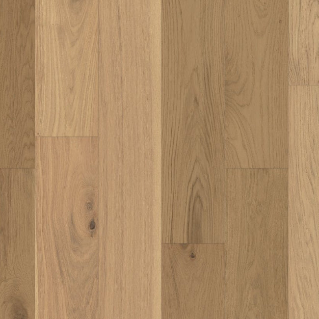 Shaw Floors The Gallery Collection Endeavor
