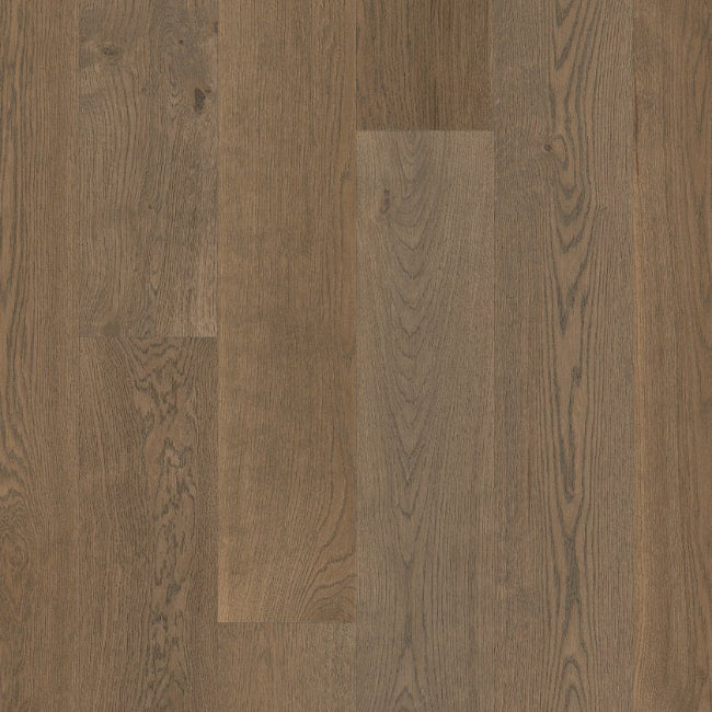 Shaw Floors The Gallery Collection Grounded