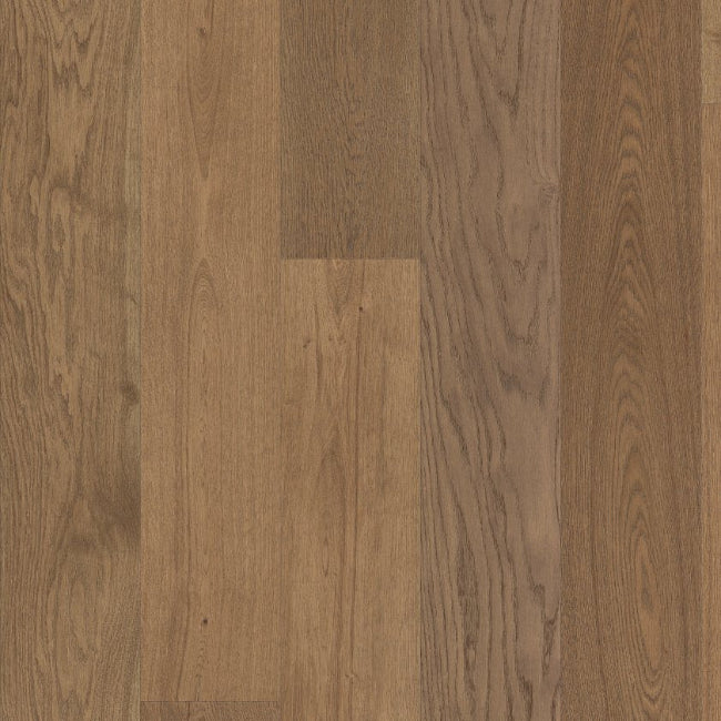 Shaw Floors The Gallery Collection Intent