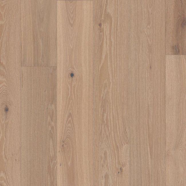Shaw Floors The Gallery Collection Ensemble Applique