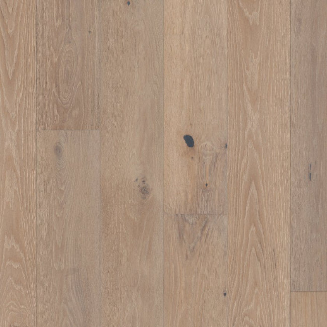 Shaw Floors The Gallery Collection Ensemble Bolero