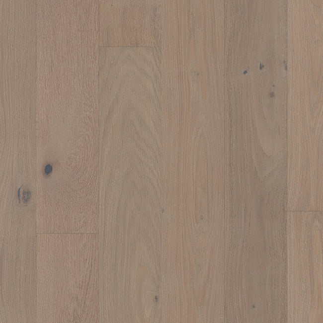 Shaw Floors The Gallery Collection Ensemble Atelier