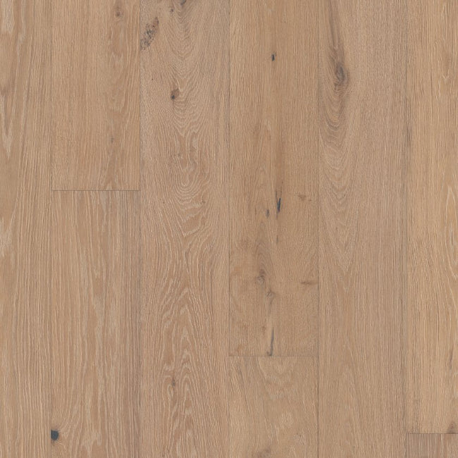 Shaw Floors The Gallery Collection Ensemble Brocade