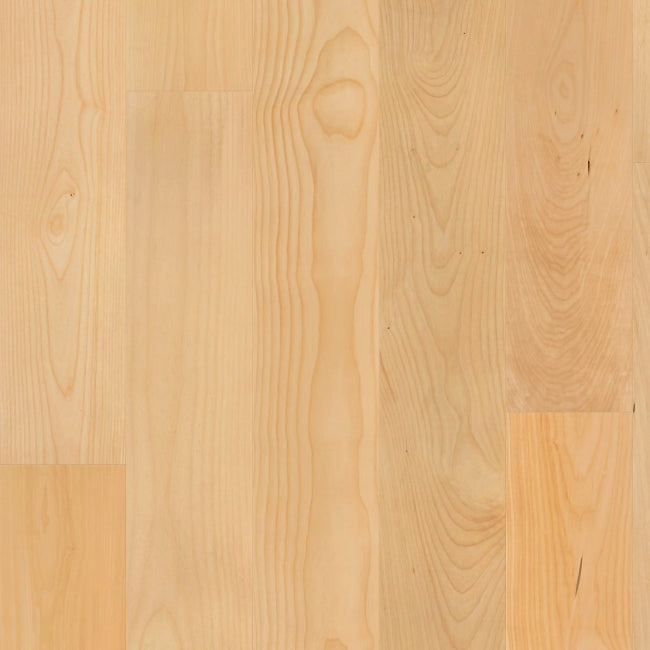 Shaw Floors The Gallery Collection Natural Classics Hard Maple 7" Natural Hard Maple