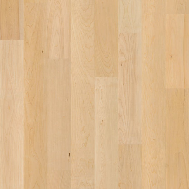 Shaw Floors The Gallery Collection Natural Classics Hard Maple 5" Natural Hard Maple