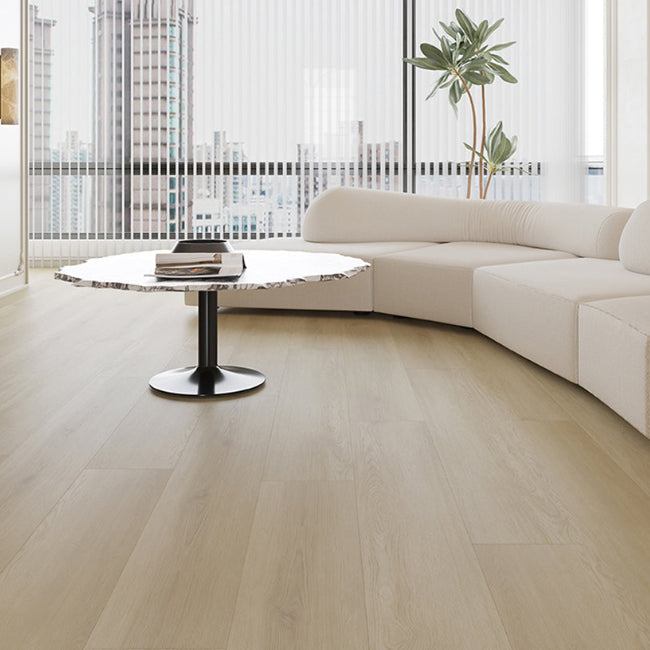 AFD Celestial Collection Sirius