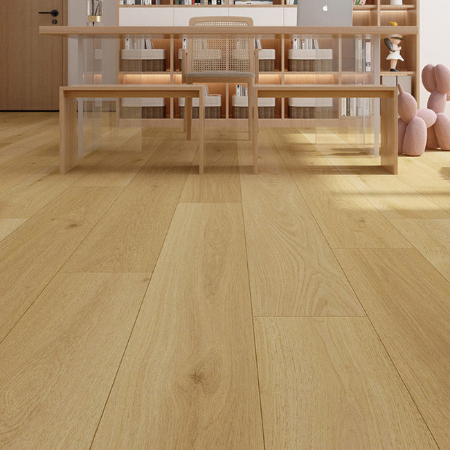 AFD Olympus Collection Zeus