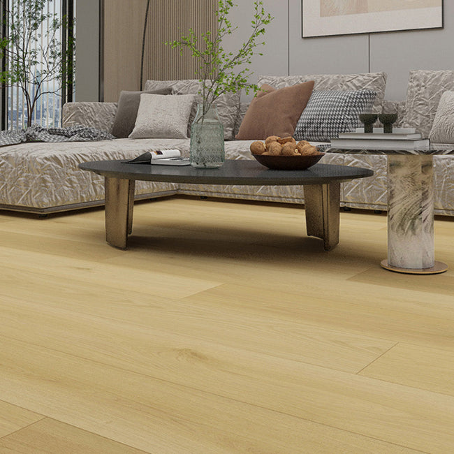 AFD Olympus Collection Hera