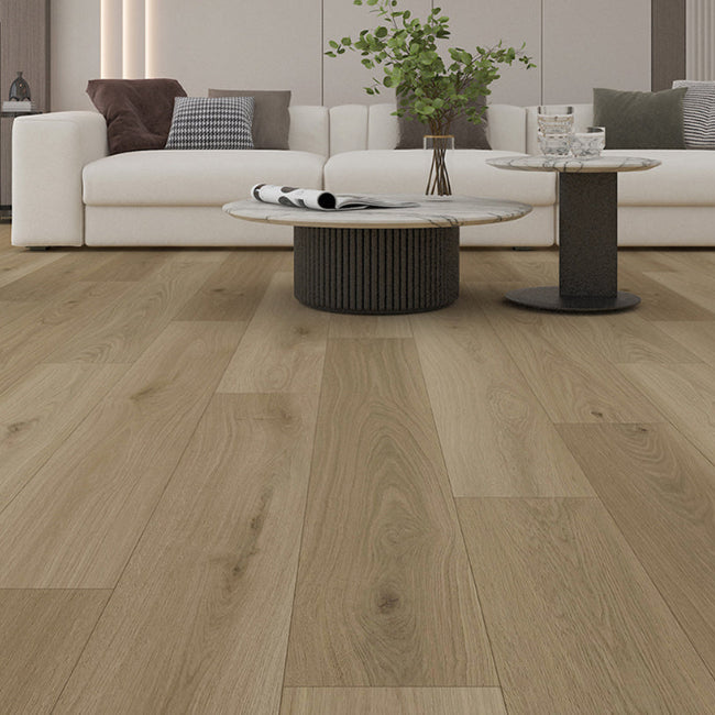 AFD Olympus Collection Demeters