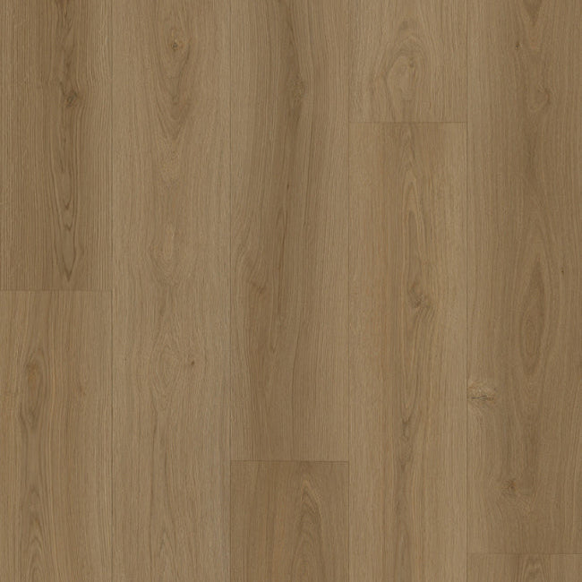 AFD Oak Collection Cork Oak