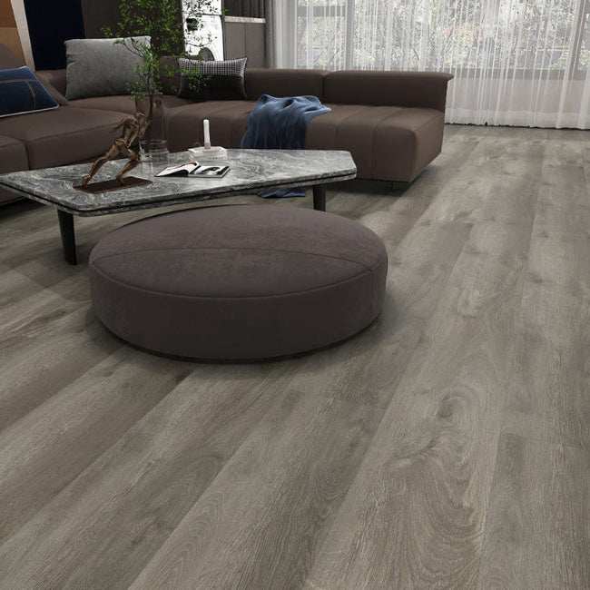 AFD European Collection Sevilla