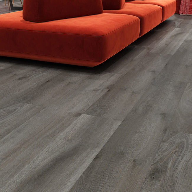 AFD European Collection Dijon