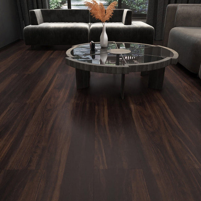 AFD Paramount Collection Amber